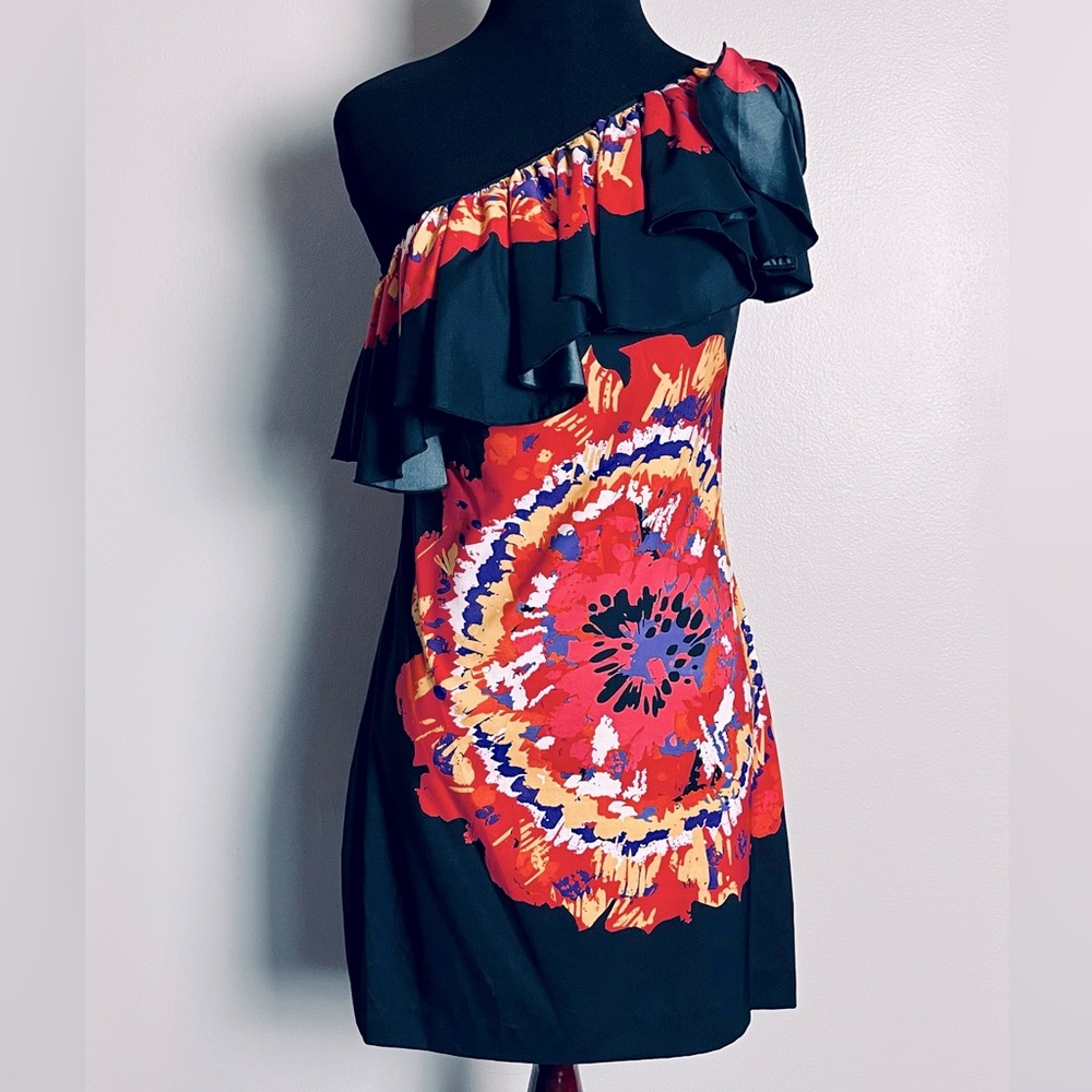 Vintage One shoulder rampage, ruffle, flower dress